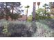 Lush green foliage and mature trees add natural privacy to this home's backyard at 30 Diamond Bar Rd, Pahrump, NV 89048