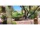 A serene backyard featuring desert landscaping, mature trees, and a charming wooden bench at 3013 Sungold Dr, Las Vegas, NV 89134