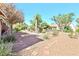 Expansive backyard with desert landscaping, large cacti, and mature trees at 3013 Sungold Dr, Las Vegas, NV 89134