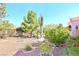 Backyard landscape featuring mature cactus, flowering bushes, and greenery at 3013 Sungold Dr, Las Vegas, NV 89134