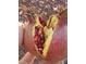 Close-up of a pomegranate split open, revealing juicy red seeds at 3013 Sungold Dr, Las Vegas, NV 89134