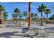 Outdoor picnic area featuring multiple tables shaded by palm trees, ideal for gatherings and enjoying the community at 4519 Sapphire Moon Ave, North Las Vegas, NV 89084