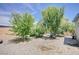Backyard features trees and ample space for outdoor activities, ready for your personal touch at 5500 Santovito St, Pahrump, NV 89061