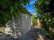 Side view of a small outbuilding with a white door and window, surrounded by lush greenery and foliage at 5500 Santovito St, Pahrump, NV 89061