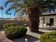 Backyard featuring a palm tree, grill, and well-maintained bushes with gravel ground cover at 7461 Tahoe Basin Dr, Las Vegas, NV 89129