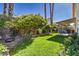 The expansive backyard is lushly landscaped, with green grass, trees, and plenty of room at 8109 Sunset Mill Dr, Las Vegas, NV 89128