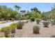 Walking path lined with vibrant desert landscaping and desert foliage at 10113 Plomosa Pl, Las Vegas, NV 89134