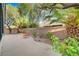 Landscaped backyard with a mature palm trees, concrete patio, and block wall fencing at 11441 Drappo Ave, Las Vegas, NV 89138