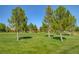 Expansive community park with lush green grass and mature trees, providing ample space for outdoor activities at 11441 Drappo Ave, Las Vegas, NV 89138