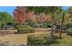 Community park area with picnic tables and barbecue grills at 1560 Plaza Centre Dr # 103, Las Vegas, NV 89135