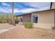 Tan single story house with brown brick accent, small bushes and palm tree in low maintenance yard at 207 E Van Wagenen St, Henderson, NV 89015