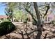 Mature trees shade this desert landscaped yard with views of the house at 2820 Bluff Point Dr, Las Vegas, NV 89134