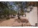 Well maintained front yard with mature trees and desert landscaping at 2820 Bluff Point Dr, Las Vegas, NV 89134