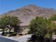 Landscaped front yard showcasing lush greenery and a stunning mountain backdrop at 4020 Driscoll Mountain St, Las Vegas, NV 89129