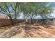 Expansive backyard featuring mature trees, brick accents, and ample space for outdoor activities at 5480 Lincolnwood Ct, Pahrump, NV 89061