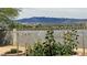 Backyard garden with sunflowers in a cinder block raised bed with mountain view in background at 5480 Lincolnwood Ct, Pahrump, NV 89061
