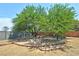 This backyard features a quaint paver patio and bench under the shade of a large tree at 5480 Lincolnwood Ct, Pahrump, NV 89061