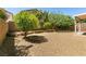 Gravel backyard with mature trees, offering shade and a peaceful outdoor space at 9025 Rusty Rifle Ave, Las Vegas, NV 89143