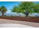 Scenic backyard featuring a retaining wall, large shade tree, desert plants, and mountain views in the distance at 10720 Bennington Ct, Las Vegas, NV 89134