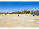 Vast backyard featuring desert landscaping and mature trees against a mountain backdrop at 2251 Bridger St, Pahrump, NV 89048