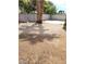 Spacious backyard enclosed by a block wall, providing privacy and security at 45 Logan Ct, Las Vegas, NV 89110
