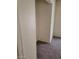 Small walk-in closet featuring neutral carpet at 45 Logan Ct, Las Vegas, NV 89110