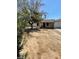 View of the front of a one-story home with a large tree in the front yard at 45 Logan Ct, Las Vegas, NV 89110