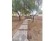 Backyard featuring a patio area accessible via a stone pathway at 4821 Whisper Lake Ave, Las Vegas, NV 89131