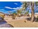 Expansive backyard featuring custom desert landscaping with gravel, trees, a shed, and a brick pathway at 4910 Marywood Ct, Pahrump, NV 89061