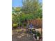 Serene backyard features a mature flowering tree, picnic table, and play set for outdoor fun at 759 Star Apple Ln, Las Vegas, NV 89178