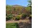Beautiful backyard landscaping with lush greenery and decorative rock features enhance the outdoor space at 759 Star Apple Ln, Las Vegas, NV 89178