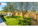 Spacious backyard with lush green grass, mature trees, and a relaxing patio area at 8700 Isola Dr, Las Vegas, NV 89117