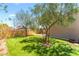 Lush backyard with a well-manicured lawn and mature trees at 8700 Isola Dr, Las Vegas, NV 89117