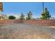 Spacious backyard with low maintenance ground covering and tall brick wall at 9846 Sunriver Meadows Ave, Las Vegas, NV 89148