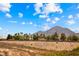 Picturesque landscape view featuring rolling hills, lush trees, blue skies, and cloud accents at 1134 Pandora Canyon St, Henderson, NV 89052
