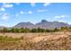 Scenic view of the desert landscape showcasing diverse vegetation, distant mountains, and clear blue skies at 1134 Pandora Canyon St, Henderson, NV 89052