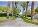 Landscaped walkway lined with palm trees and lush greenery at 1953 Moyer Dr, Henderson, NV 89074