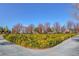 Beautifully landscaped area with colorful trees, shrubs, and manicured hedges, creating a serene environment at 3632 Red Fir St, Las Vegas, NV 89135