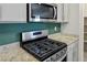 Close-up of the oven with gas range, microwave and countertop in the kitchen at 393 Mullen Ave, Henderson, NV 89044