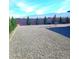 Desert landscaped backyard boasts a mountain view, privacy wall, and lush privacy hedges at 42 Late Harvest Ave, Pahrump, NV 89060