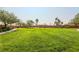 Expansive community lawn offers open green space for activities, surrounded by mature trees and a gazebo at 561 Fork Mesa Ct, Henderson, NV 89015