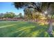 A lush green space with mature trees, offering a serene and inviting atmosphere for outdoor activities at 8717 Red Brook Dr # 201, Las Vegas, NV 89128