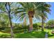 A well manicured lawn with green shrubs and mature palm trees provide shade and privacy at 8717 Red Brook Dr # 201, Las Vegas, NV 89128