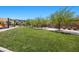 Open green space with a pathway through a park for community members, green grass, young trees and several park benches at 965 Nevada State Dr # 41201, Henderson, NV 89002