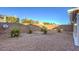 Residential backyard featuring rock landscaping, privacy wall and drought-tolerant greenery at 9844 Ashton Pines Ct, Las Vegas, NV 89147