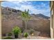 Block wall backyard with gravel and stone pavers, with hillside backdrop at 161 Cabo Cruces Dr, Henderson, NV 89011