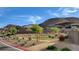 Landscaped community area with decorative bushes, trees and walking paths at 161 Cabo Cruces Dr, Henderson, NV 89011