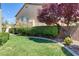 Lush backyard with a manicured lawn, mature trees, and privacy wall at 2285 Moresca Ave, Henderson, NV 89052