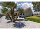 The backyard features desert landscaping, palm trees, and an artificial grass putting green at 2816 Golfside Dr, Las Vegas, NV 89134