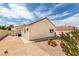 Desert landscaping in the backyard with gravel, cacti, and flowering bushes under a blue sky at 6 Sandwedge Dr, Henderson, NV 89074